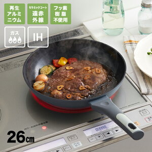 Z[v Z~bNR[g tCp 26cm IHΉ[tCp26Z` KX IH Ή  A~ 26Z` 26cmtCp Z~bNR[g ԊO Z~bNtCp]