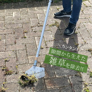 ԎG UNƃg[[G ʂ   G   ܂ G  c[       ʊwH  RN[g   ܂ ]