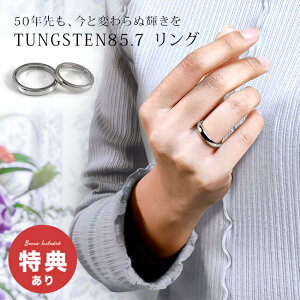 _T^^OXeO Vo[[^OXe O w  AM[ AM[ Ή AM[Ή Vv ςȂ Y fB[X v[g  