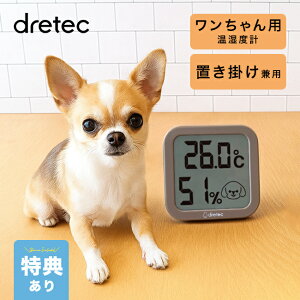 _T^dretec hebN C[[p xv ybg  Ǌ| fW^ RpNg 킢 ₷ ^ ybgpi xv xv fW^xv  ^ 