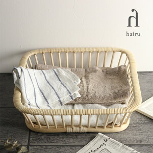 _r[T^cX nC ꂩ XNGA h100[ ^ [ oXPbg [oXPbg [ [JS  JS   CeA] [