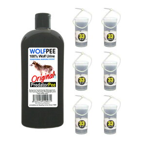 Ets[340g+pfBXyT[Zbg[Ets[ Qb΍ IIJ~ T A bQ΍  Qb ΍ ObY Qb Qb e CmVV VJ T N} ^kL Lcl nNrV