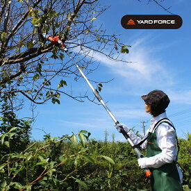 ＼特典あり／YARD FORCE ヤードフォース 12V コードレス 高枝電動2WAYのこぎり[家庭用 高枝ノコギリ 高枝切り 電動 のこぎり 高枝のこぎり 高い 枝 植木 剪定 枝切 ハンディ 手元 電動のこぎり 充電式] 即納