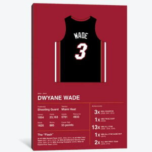 y+N[|z ȃI}[WA[g Dwyane Wade Career Stats hEFCEEFCh Dwyane Wade NBA LoXA[g G CeA ͗lւ zj