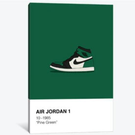【送料無料+割引クーポン】 お洒落なオマージュアート Air Jordan 1 Polaroid (Green) マイケル・ジョーダン Michael Jordan NBA キャンバスアート 絵画 インテリア 模様替え