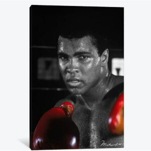 �y���������z �������ȃI�}�[�W���A�[�g Muhammad Ali In Training ���n���h�E�A�� �L�����o�X�A�[�g �G�� �C���e���A �͗l�ւ� ���z���j�� �V�z�j�� �J�X�j�� �M�t�g �v���[���g