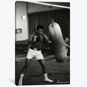 �y���������z �������ȃI�}�[�W���A�[�g Ali Training in Zaire ���n���h�E�A�� �L�����o�X�A�[�g �G�� �C���e���A �͗l�ւ� ���z���j�� �V�z�j�� �J�X�j�� �M�t�g �v���[���g