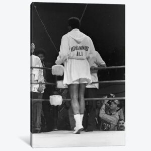 �y���������z �������ȃI�}�[�W���A�[�g Rear View Of A Robed Muhammad Ali ���n���h�E�A�� �L�����o�X�A�[�g �G�� �C���e���A �͗l�ւ� ���z���j�� �V�z�j�� �J�X�j��