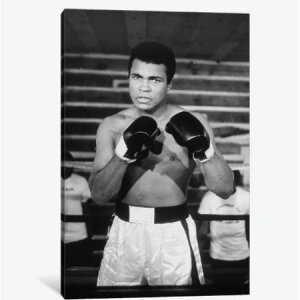 �y���������z �������ȃI�}�[�W���A�[�g Muhammad Ali With A Fierce Glare While Training ���n���h�E�A�� �L�����o�X�A�[�g �G�� �C���e���A �͗l�ւ�