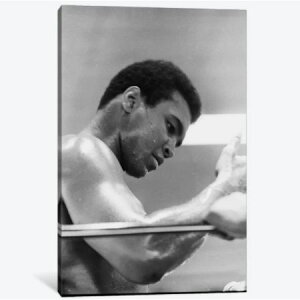 �y���������z �������ȃI�}�[�W���A�[�g Side View Of Muhammad Ali In The Corner II ���n���h�E�A�� �L�����o�X�A�[�g �G�� �C���e���A �͗l�ւ� ���z���j��