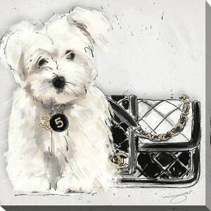 yz ȃuhI}[WA[g Coco pup Square Vl CHANEL LoXA[g G CeA ͗lւ zj Vzj ҍ c