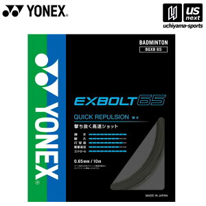 lbNXy YONEX zoh~g Kbg GNX{g65 ubN BGXB65[M 1/2][][Бq]