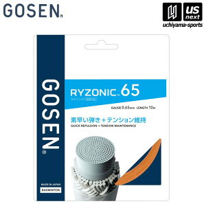S[Zy GOSEN z oh~g Kbg RYZONIC65 IWyBSRY65OR RYZONIC C]jbN65 oh~gKbg PbgANZT[z [M 1/2][][Бq]