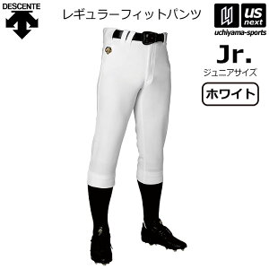 fTgy DESCENTE z싅 WjA M[pc jtH[pc jtBbgpc 2025NtMODELy DB5SHP10J W M[ jtH[ 싅pc 싅ppc x[X{