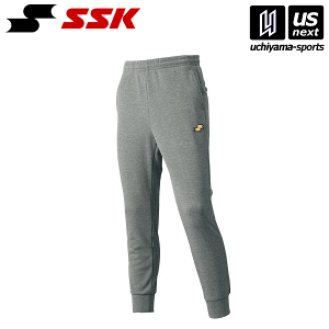 GXGXPCy SSK z DRF022P EH[Abvpc (01)O 2025NpMODELy[֕sz[][Бq]