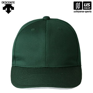 fTgy DESCENTE z DB5SCP01M 싅 AJLbv GR00 O[ 2025NtMODELy[֕sz[][Бq]