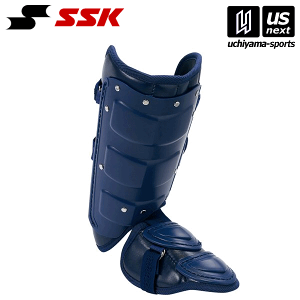 yN[|zzzGXGXPCySSKz 싅 tbgK[hiEŎҗpj FG100L i70jlCr[ 2025NpMODELy[֕sz[][Бq]