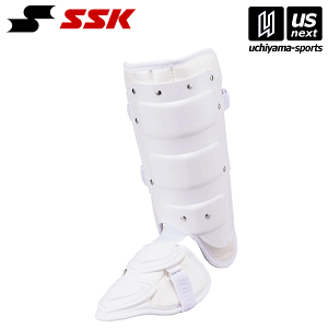 GXGXPCySSKz 싅 tbgK[hiŎҗpj FG100R i10jzCg 2025NpMODELy[֕sz[][Бq]