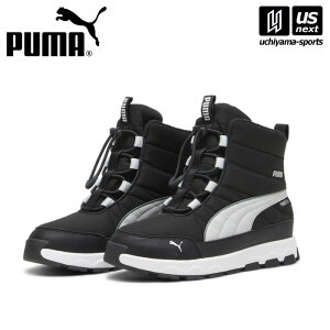 v[} y PUMA z WjA v[} G{u sAebNX u[c y 392647 EC^[u[c LbY ǂ w ʊw wZ ~ ubN zyzBΏہzy[֕sz[Бq]