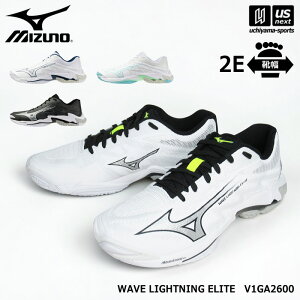 �~�Y�m �y MIZUNO �z �o���[�{�[���V���[�Y �����Y ���f�B�[�X �E�G�[�u���C�g�j���O �G���[�g 2026�N�t��MODEL �y V1GA2600 WAVE LIGHTNING ������ ���K �g���[�j���O ��� �j�� ���� �w�� �z�y�����z�B