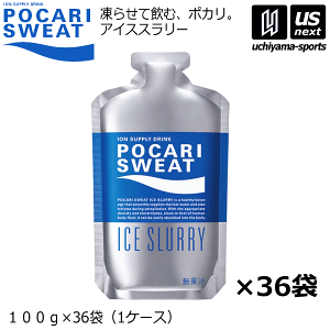 アイススラリー 36袋」の人気商品一覧・価格比較 - 価格.com