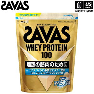 yN[|zzzUoX zGCveC100 ojACXN[ 980g 2631928 y SAVAS   Tvg veC veCpE_[ zy[֕sz