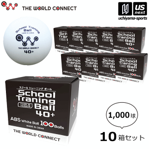 UE[hRlNg 싅 TWC XN[Eg[jO{[ 40+ 10Zbg 1000 2025NpMODELy DV010A g K 싅{[ vX`bN{[ 싅 ܂Ƃߔ p zyz