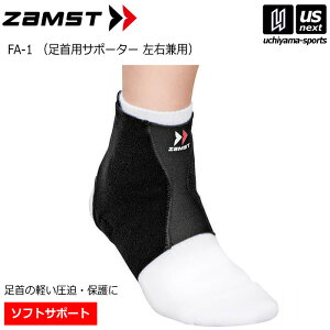 UXgyZAMSTzpT|[^[ FA-1 2025NpMODELy1iЕj ANT|[^[ T|[^[zy[֕sz[][Бq]