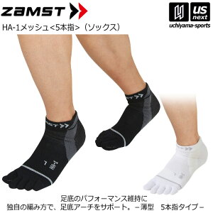 UXgyZAMSTzX|[c\bNX HA-1bVi5{wj 2025NpMODELyHA|1 bV ^ 5{w\bNX V[g C  \bNXzy[֕sz[][Бq]