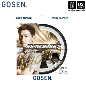 S[ZyGOSENz\tgejXKbg VCuXgySSSB21 SHINEBLAST \tgejX \tgejXp ejXKbgz [M 1/2][][Бq]