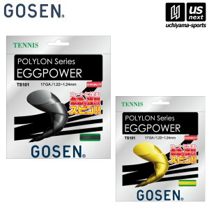 S[ZyGOSENzejXKbg GbOp[17yTS101 EGGPOWER dejX dejXp |GXeKbg ejXKbgz [M 1/2][][Бq]