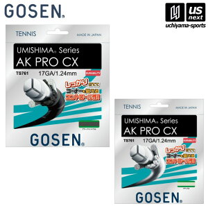 �y�V��������100�~�N�[�|���z�S�[�Z���yGOSEN�z�e�j�X�K�b�g AK PRO CX 17�yTS761 UMISHIMA series �d���e�j�X �d���e�j�X�p �e�j�X�K�b�g�z [M�� 1/2][����][���Бq��]
