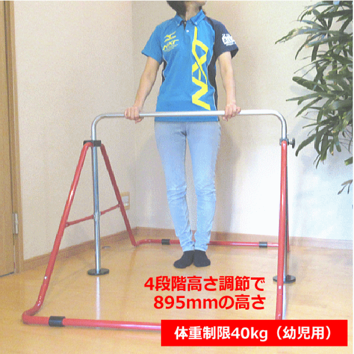 屋内外兼用鉄棒　子供用　FM1534 楽天市場】健康鉄棒DX室内鉄棒 子供用鉄棒 屋内鉄棒 室内鉄棒