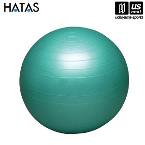 HATASy `^/`/n^ zoX{[ZCteB[ O[ 65cmi{̂̂݁jyDB65 oX{[ GNTTCY ̗͌z[][Бq]