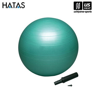 HATASy `^/`/n^ zoX{[ZCteB[ O[ 65cmi|vtjyDB65P oX{[ GNTTCY ̗͌z[][Бq]