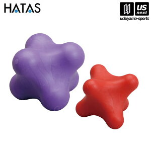 HATASy `^/`/n^ zZs[|bh 召ZbgyTCE502 h nr GNTTCY g[jOzy[֕sz[][Бq]