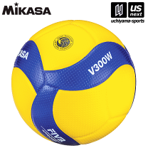 Amazon | 日用品 バレーボール5号球 V5M5000 | モルテン | ボール