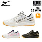 ミズノ 【 MIZUNO 】 ジュニア バレーボールシューズ サイクロンスピード 4 Jr. 2023年春夏MODEL 【 V1GD2310 CYCLONE SPEED バレーシューズ 練習 初心者 こども キッズ 女子 男子 】【あす楽対応 365日出荷】【メール便不可】[物流倉庫]