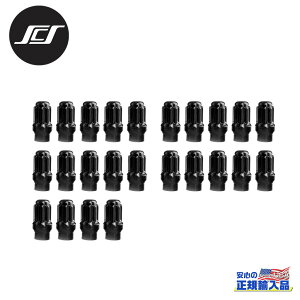 ySCS(XeXJX^V[Y)KizzC[ibg 6 4{Zbgp nCbNXEvhEnCbNXT[tEFJE^R}M12x1.50 ET 24pcs