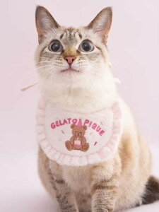 yCAT&DOGzyBirthdayzX[YB[o[Xf[X^C GELATO PIQUE CAT&DOG WF[gsP ybgpi ̑̃ybgpi[Rakuten Fashion]