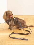 【CAT&DOG】【販路限定商品】リード GELATO PIQUE CAT&DOG ジェラートピケ ペット用品 ペット用首輪・ハ…