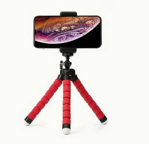 X}zX^h Or 360x]\ INgpXX^hBe ʐ^Be s