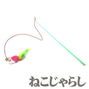 L  ˂炵 1{ t L̂ L炵 ˂ Lpi H ƂƂ J[_