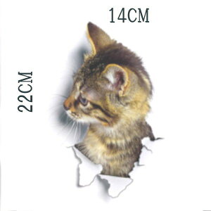 LV[ EH[XebJ[ gbNA[g XH2002