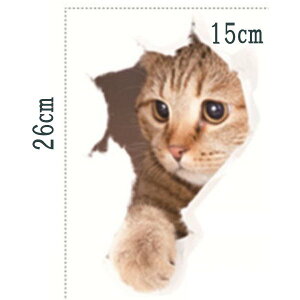 LV[ EH[XebJ[ gbNA[g XP2010