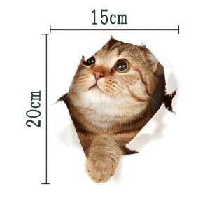 LV[ EH[XebJ[ gbNA[g XP2005