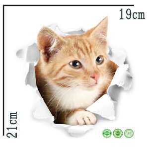 LV[ EH[XebJ[ gbNA[g XP2004