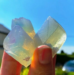 i`[WEIp[ENX^Xg[ 1 WFXg[ ANAE/z[tBbV^NfR[V~̓t[|bg