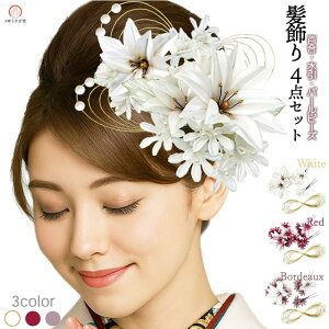  4_Zbg S  kk-033 l U wAANZT[ p[r[Y  Ǝ  wAANZ y 