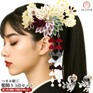  ܂ݍ׍H 3_Zbg Up wk-343 VN U   lF  l  Ǝ  wAANZ a  a